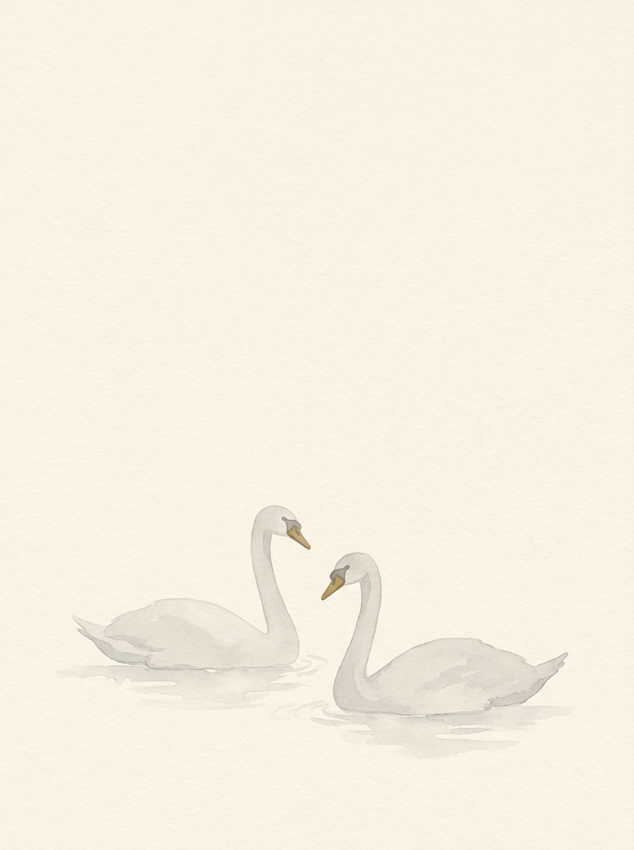 Swans