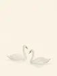 Swans illustration