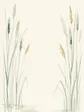 Reeds illustration